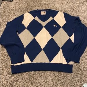 Express V-neck sweater